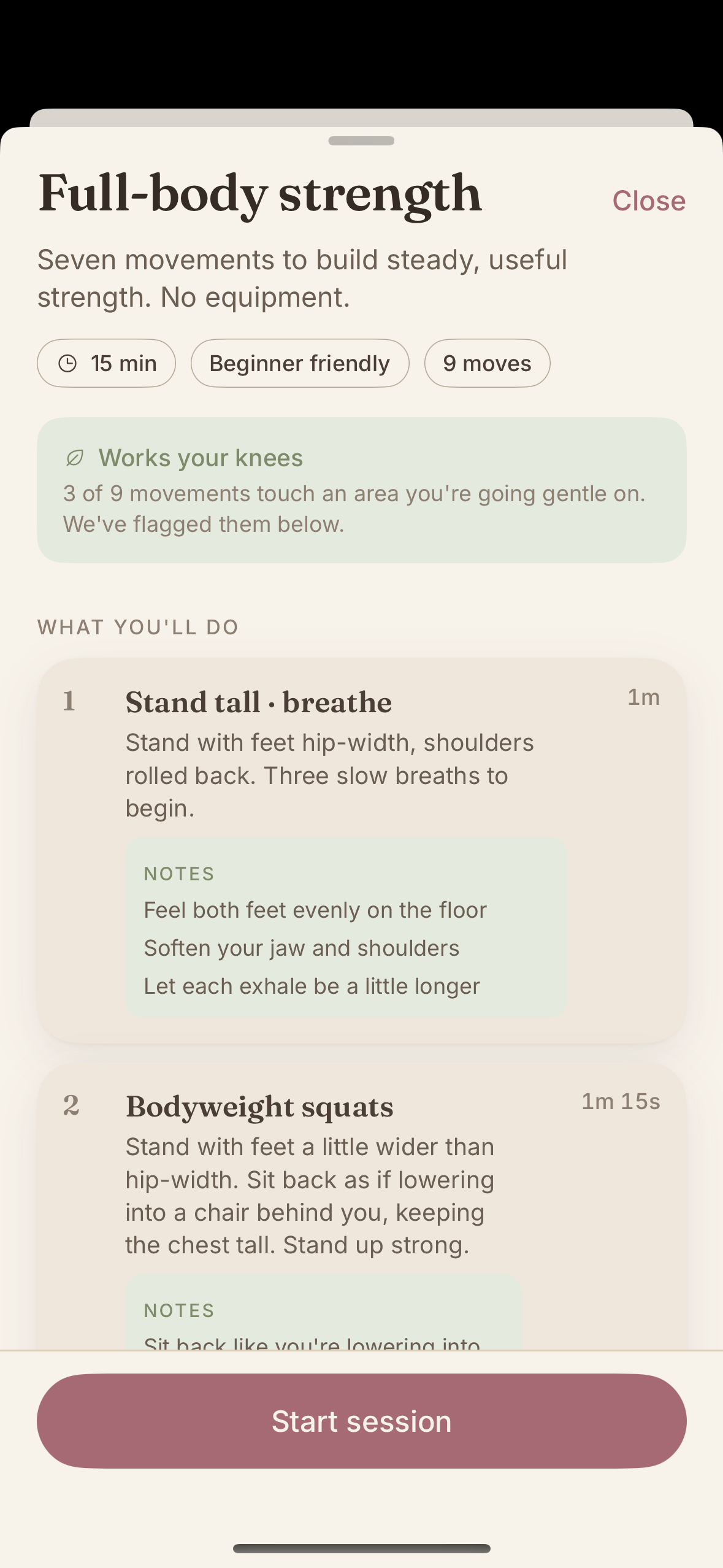 Session preview sheet for Full-body strength showing a sage warning box and every movement with notes